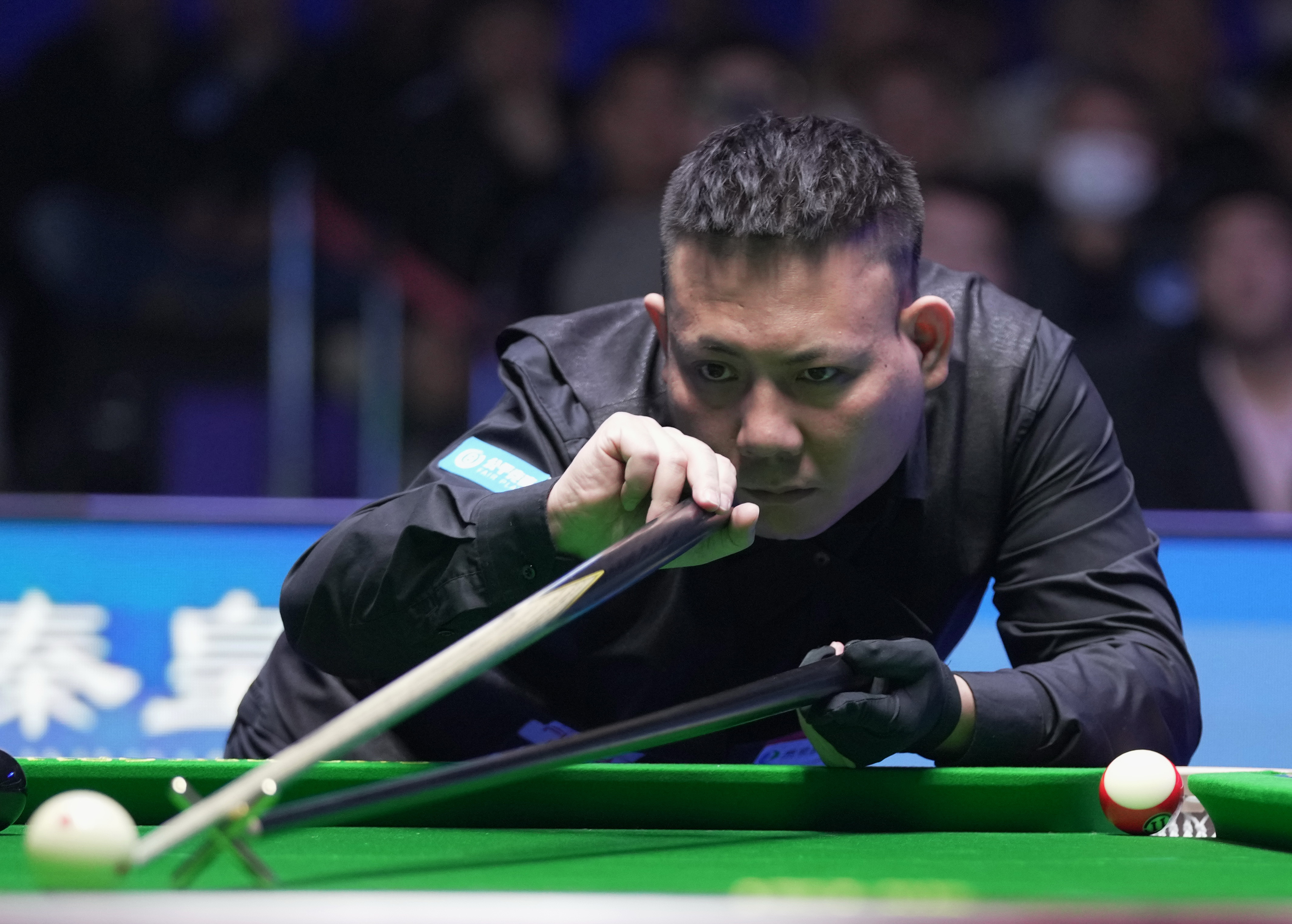 不依赖单一 不依赖单一